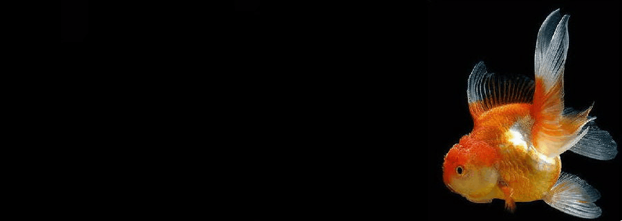 ANTIG 118