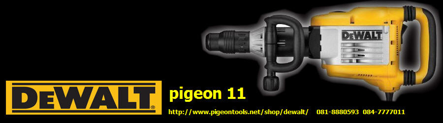 pigeon 11