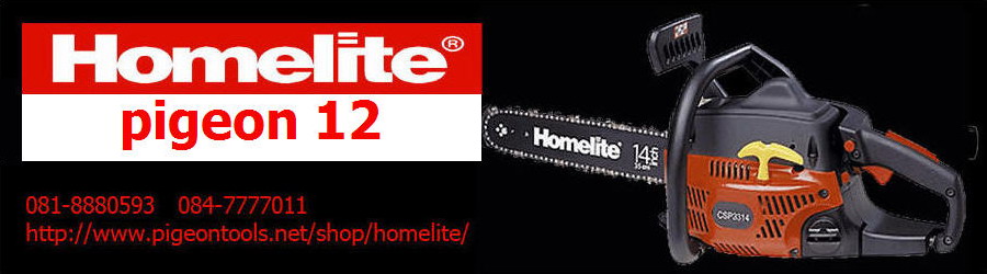 homelite2
